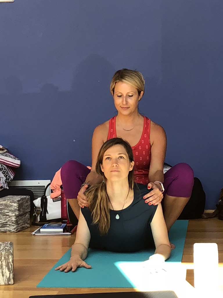 Iron Yoga - We're thrilled to be leading an Online Iron Yoga Teacher  Training on May 2, 2020, via livestream Zoom video conferencing, so you can  learn, practice and become a Certified